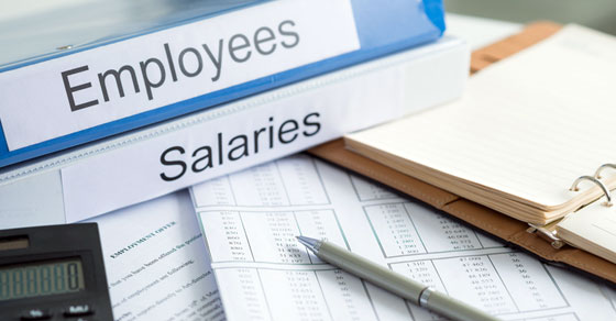 Determine a reasonable salary for a corporate business owner
